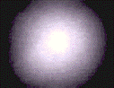 1565926523653076.gif 1.gif